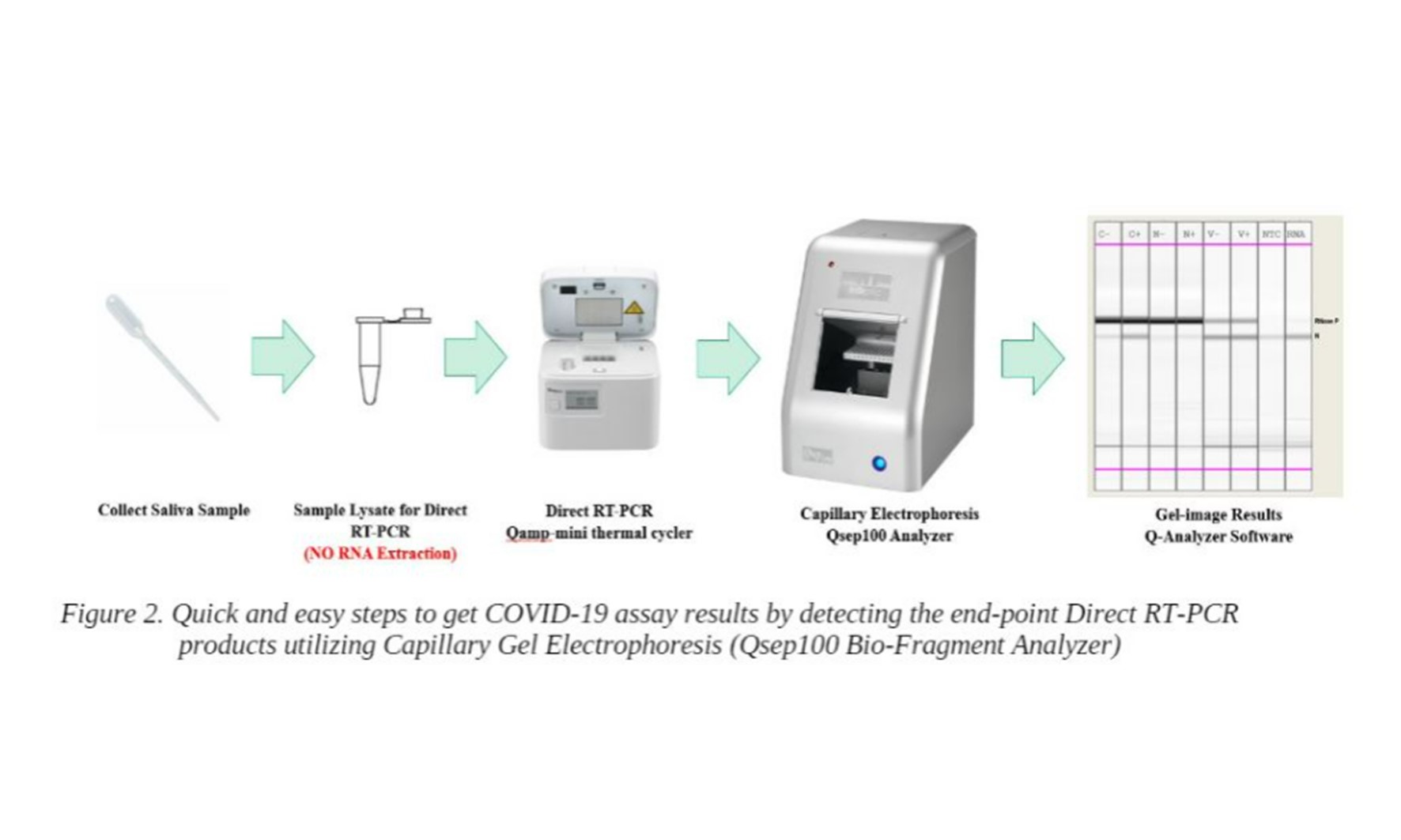 SARS-CoV-2 RNA Virus Detection from Saliva Samples