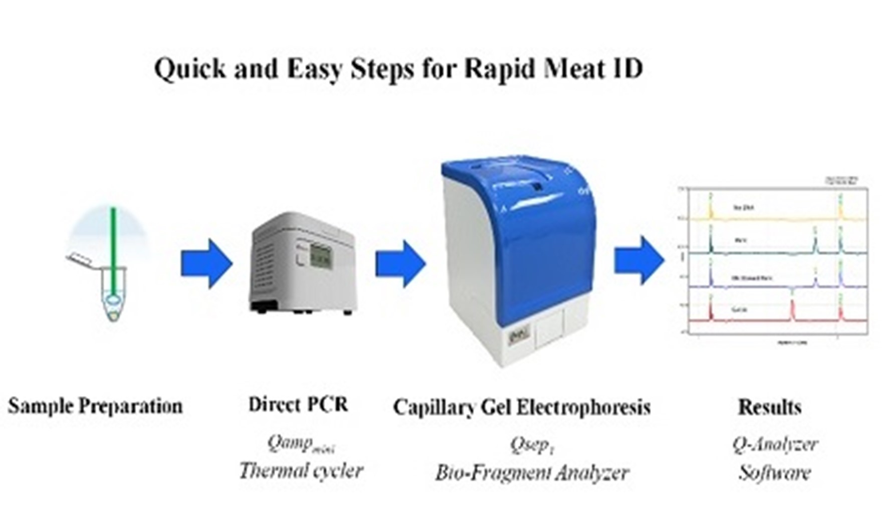 Rapid Genetic Identification of Meat