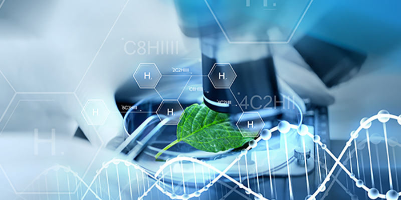 Fluorescence Detection of Protein