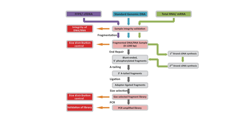 次世代定序 (Next Generation Sequencing, NGS)