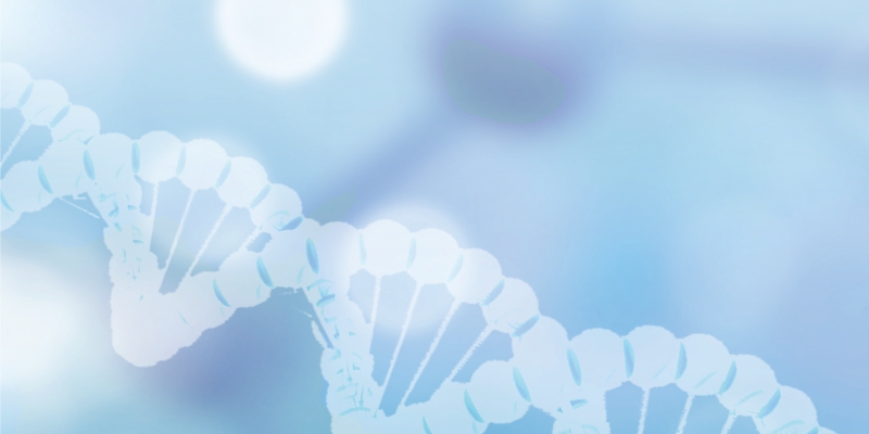 Oligo Nucleotide