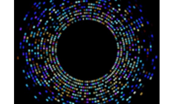 Cross-generational Competition in DNA Sequencing: Examining the Key Role of CE in NGS